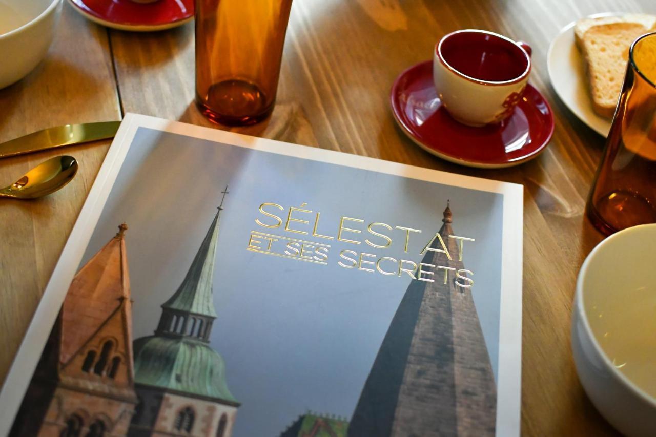 Au Fil Du Temps Apartment Sélestat Екстериор снимка